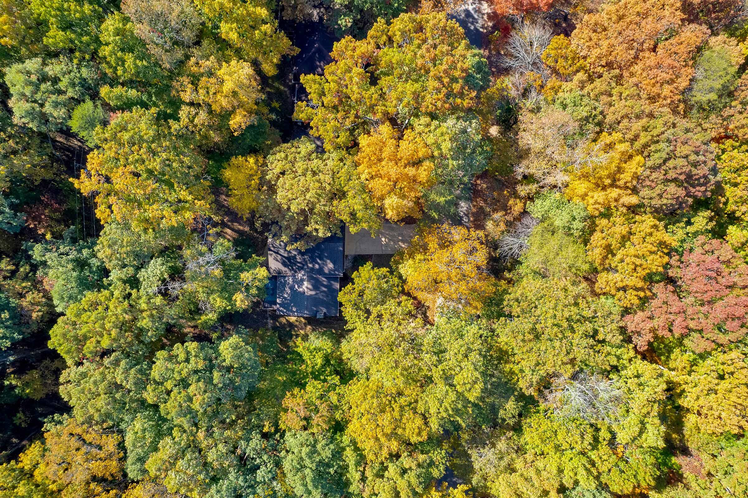 921 Dunsinane Road Signal Mountain, TN 37377 - Photo 29 of 30 921-Dunsinane-Rd-MLS-Photos-51