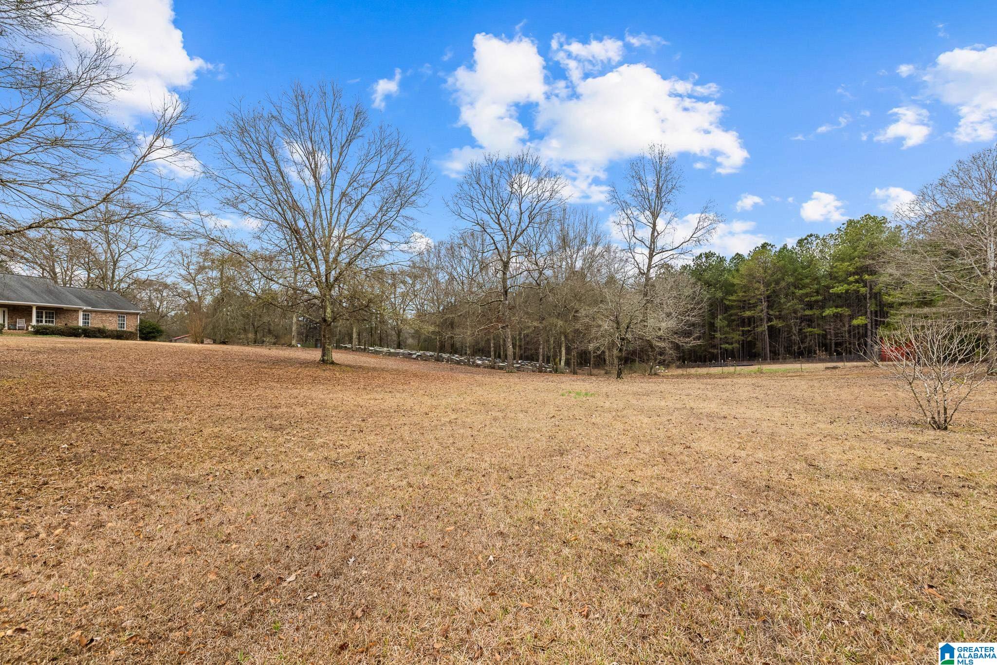 814 Deer Trace Road Pell City, AL 35125 - Photo 37 of 40