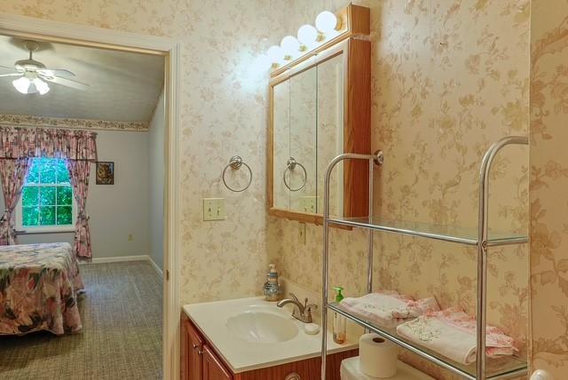 507 Yorktown Drive Gibsonia, PA 15044 - Photo 18 of 20 a bathroom with a sink and a mirror