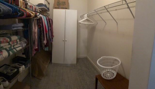507 Yorktown Drive Gibsonia, PA 15044 - Photo 19 of 20 a view of walk in closet with clothes and shoes