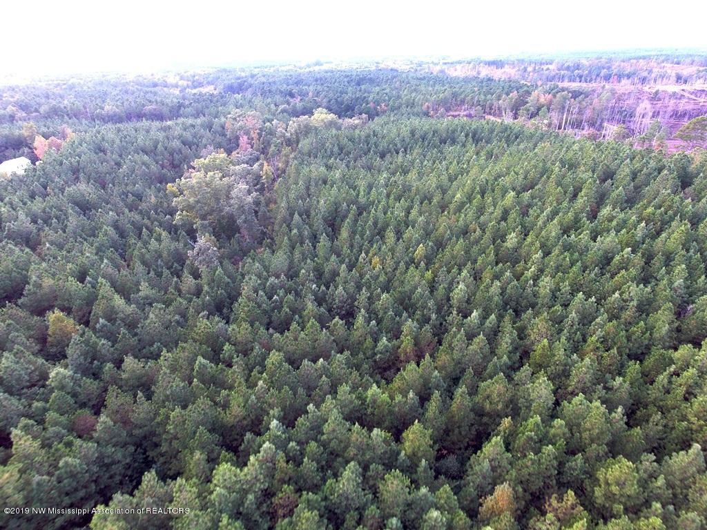 1321 Alvastage Road Kilmichael, MS 39747 - Photo 1 of 8 DCIM\100MEDIA\DJI_0099.JPG