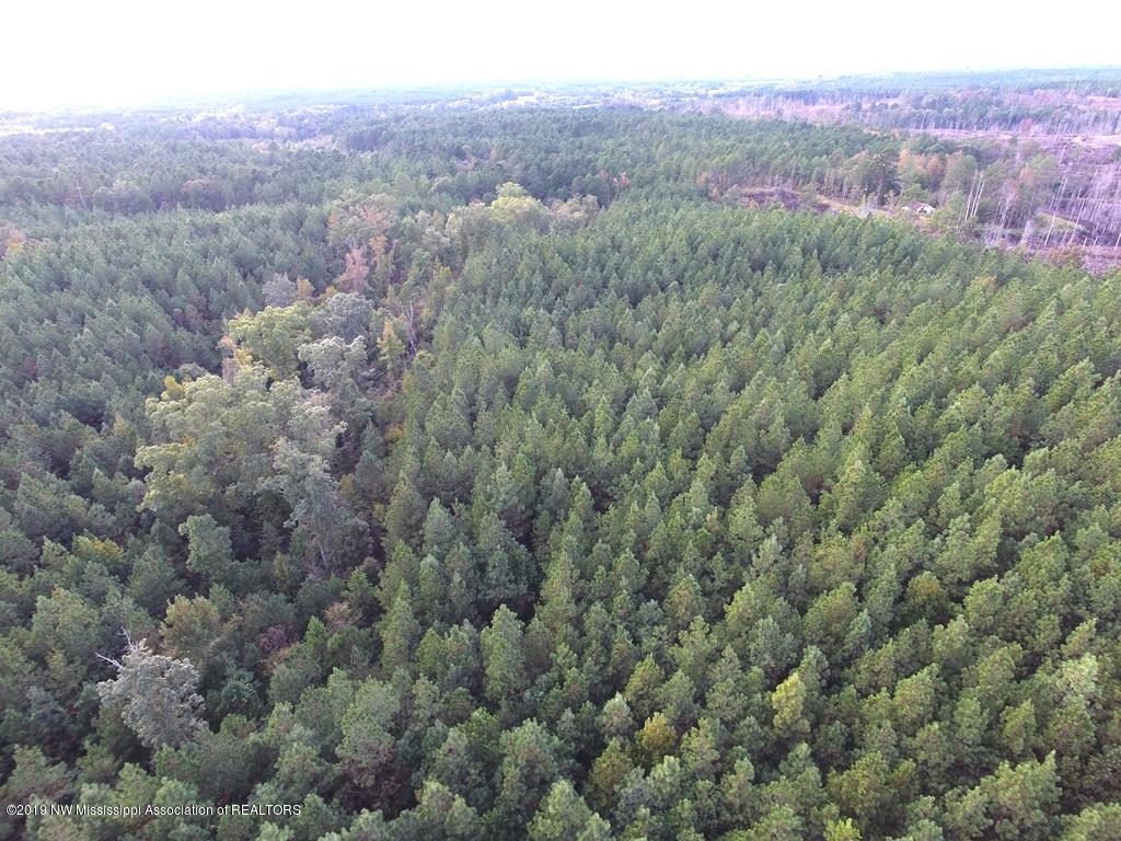 1321 Alvastage Road Kilmichael, MS 39747 - Photo 2 of 8 DCIM\100MEDIA\DJI_0101.JPG