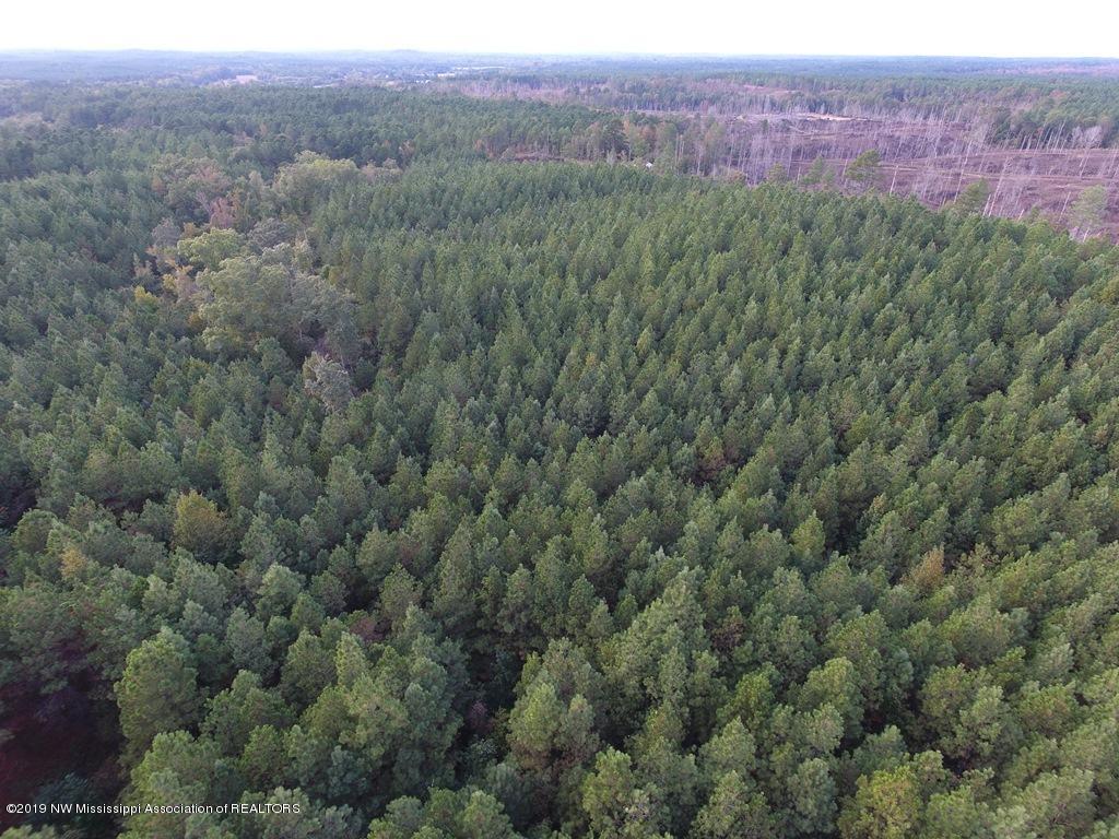1321 Alvastage Road Kilmichael, MS 39747 - Photo 3 of 8 DCIM\100MEDIA\DJI_0107.JPG