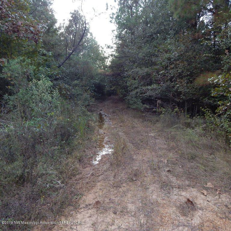 1321 Alvastage Road Kilmichael, MS 39747 - Photo 4 of 8