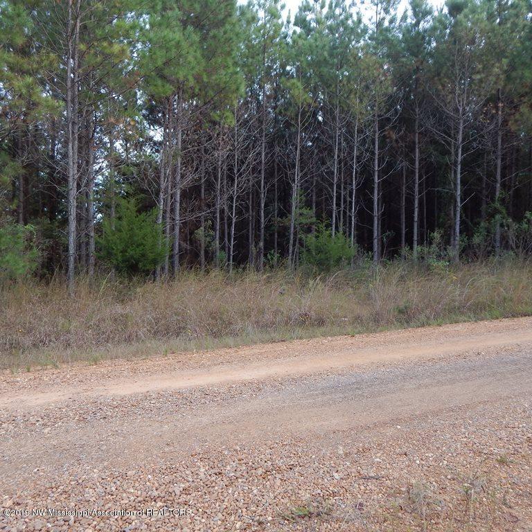 1321 Alvastage Road Kilmichael, MS 39747 - Photo 5 of 8