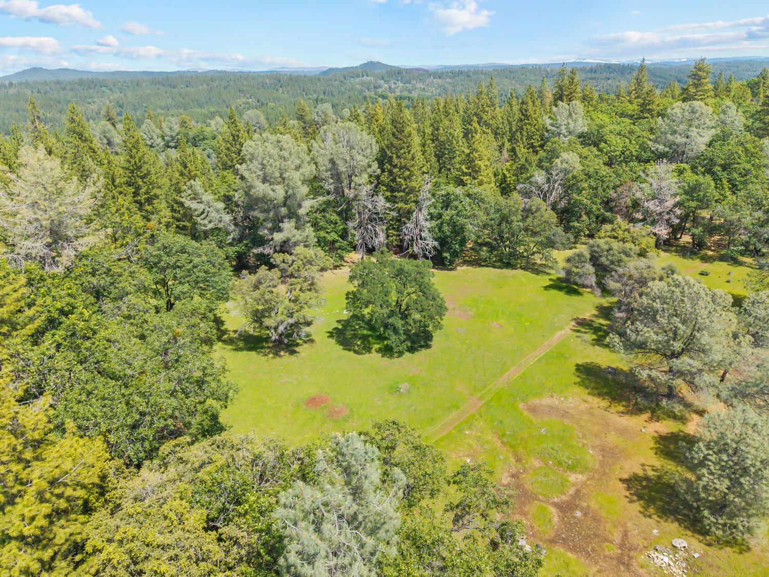 19461 Fiddletown Road Fiddletown, CA 95629 - Photo 59 of 61 Gallery Image 59