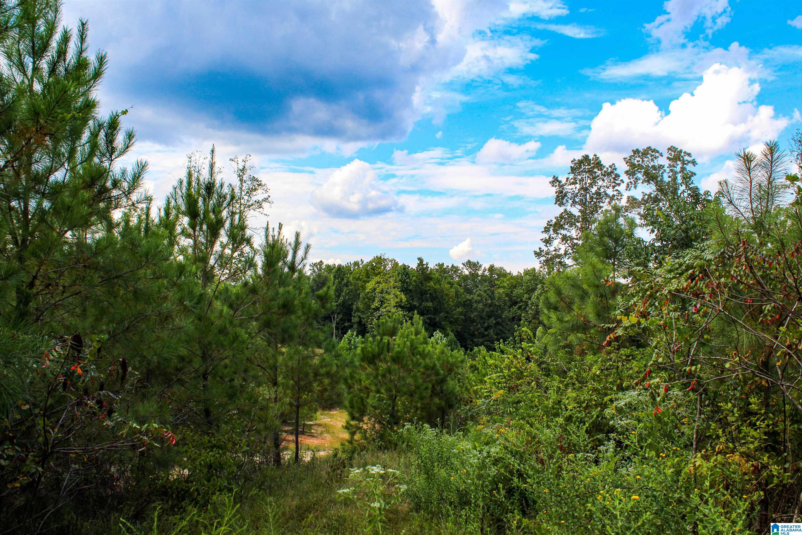 1 Highway 13, Unit 1 Berry, AL 35546 - Photo 20 of 52