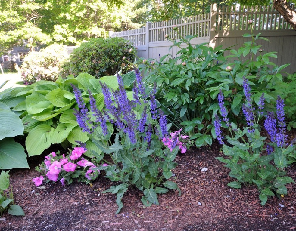 35 Range Road Concord, MA 01742 - Photo 28 of 28 Gallery Image 28