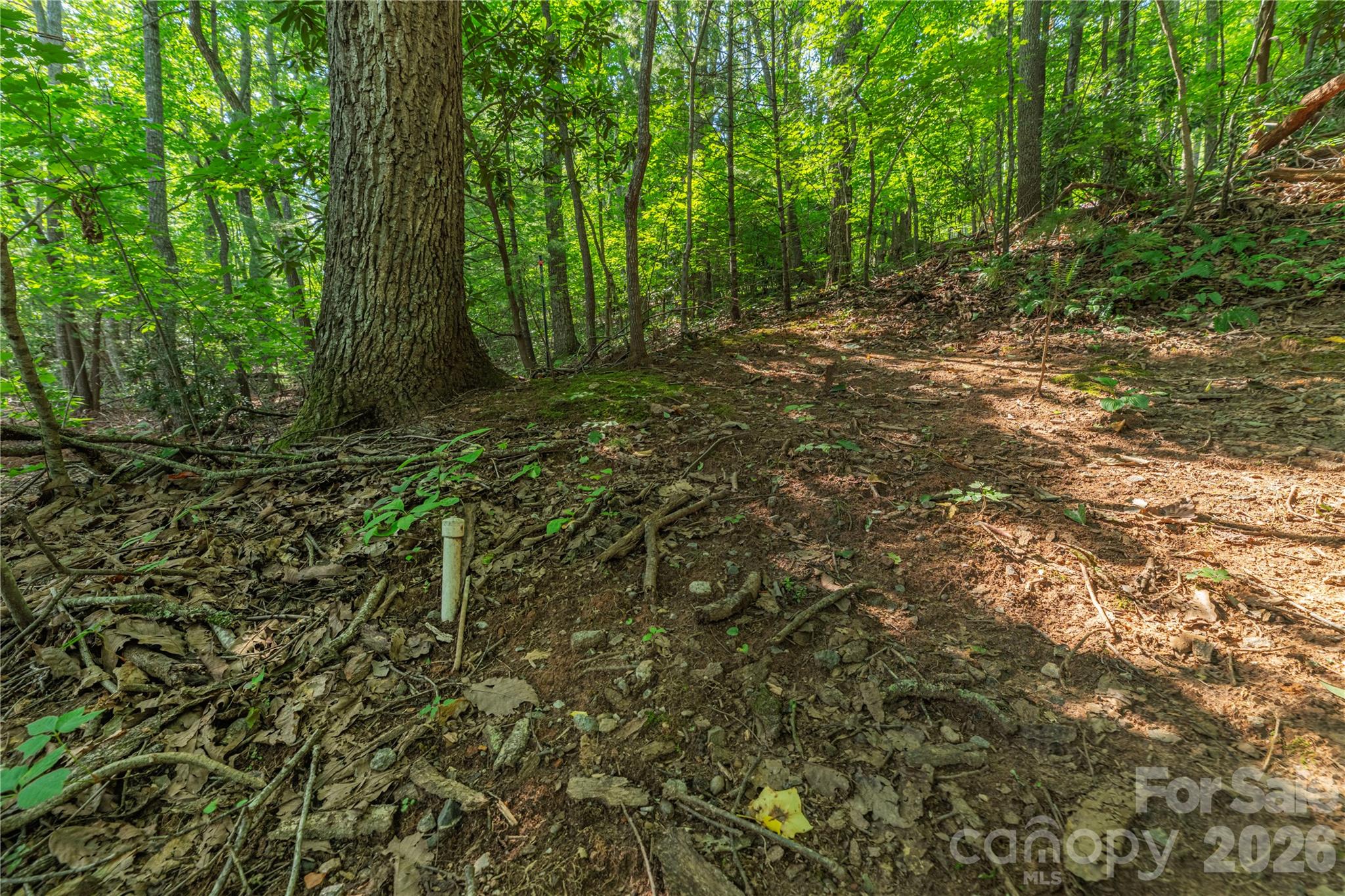 99999 Claru Rdg Road Fletcher, NC 28732 - Photo 4 of 12 Gallery Image 4