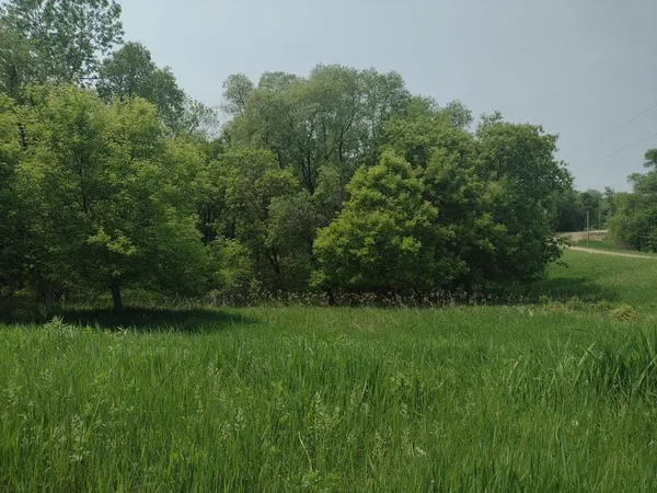 $53,000 | Lot 7-block Crystal Beach Road, Pelican Rapids, MN 56572