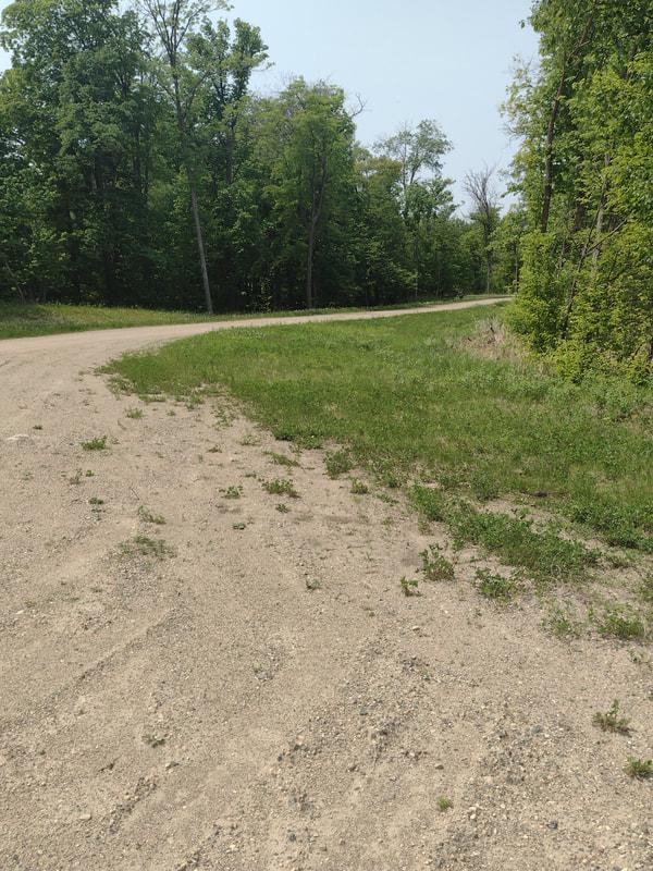 Lot 7-block Crystal Beach Road Pelican Rapids, MN 56572 - Photo 2 of 10