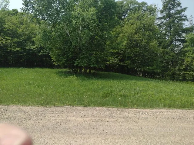 $53,000 | Lot 7-block Crystal Beach Road, Pelican Rapids, MN 56572