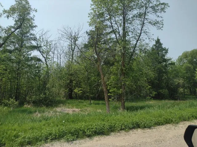 $53,000 | Lot 7-block Crystal Beach Road, Pelican Rapids, MN 56572