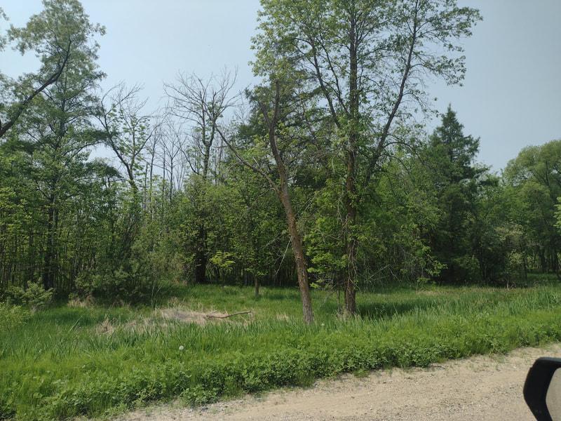 Lot 7-block Crystal Beach Road Pelican Rapids, MN 56572 - Photo 4 of 10