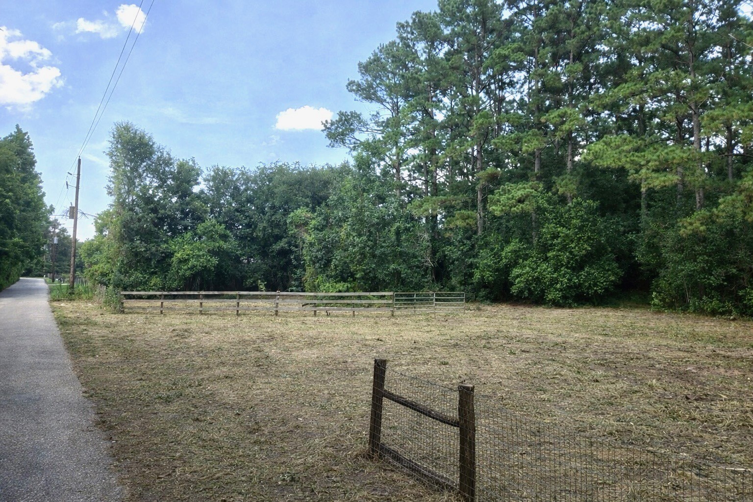 15399 Memorial Drive Splendora, TX 77372 - Photo 3 of 15 a view of backyard with green space and trees