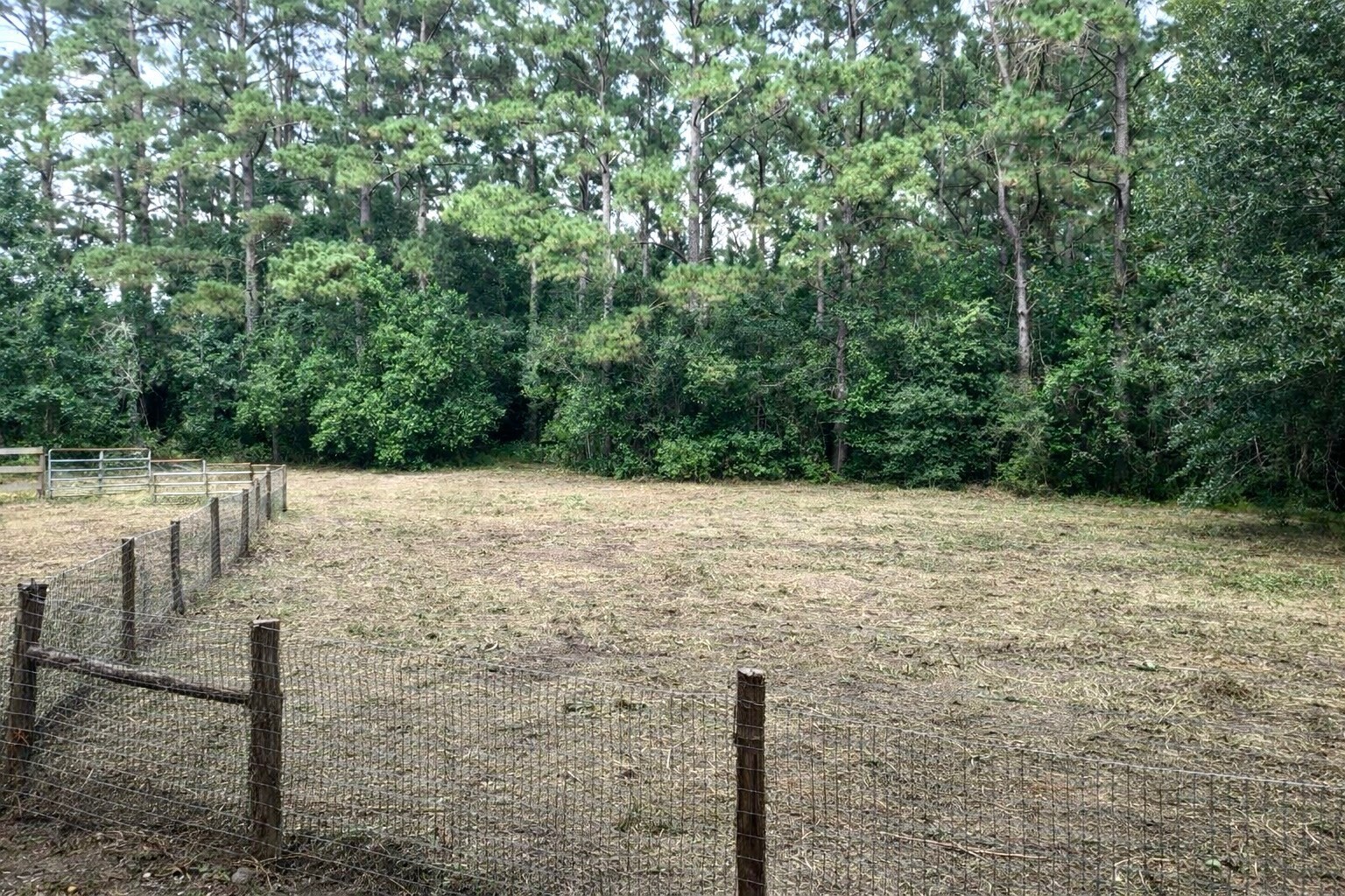 15399 Memorial Drive Splendora, TX 77372 - Photo 4 of 15 a view of a backyard
