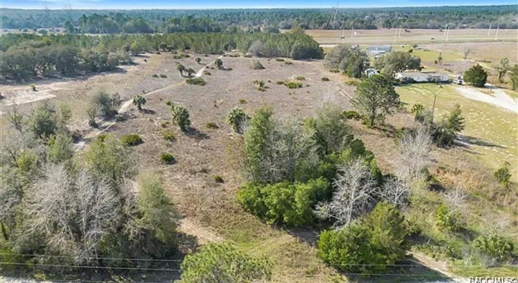6292 South Georgian Road Homosassa, FL 34446 - Photo 6 of 7