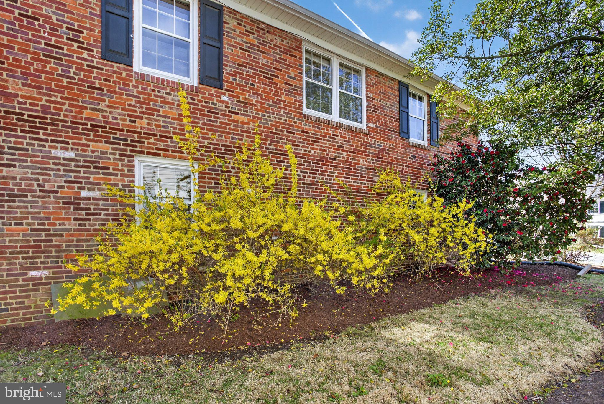 5405 Ridgefield Road Bethesda, MD 20816 - Photo 32 of 35