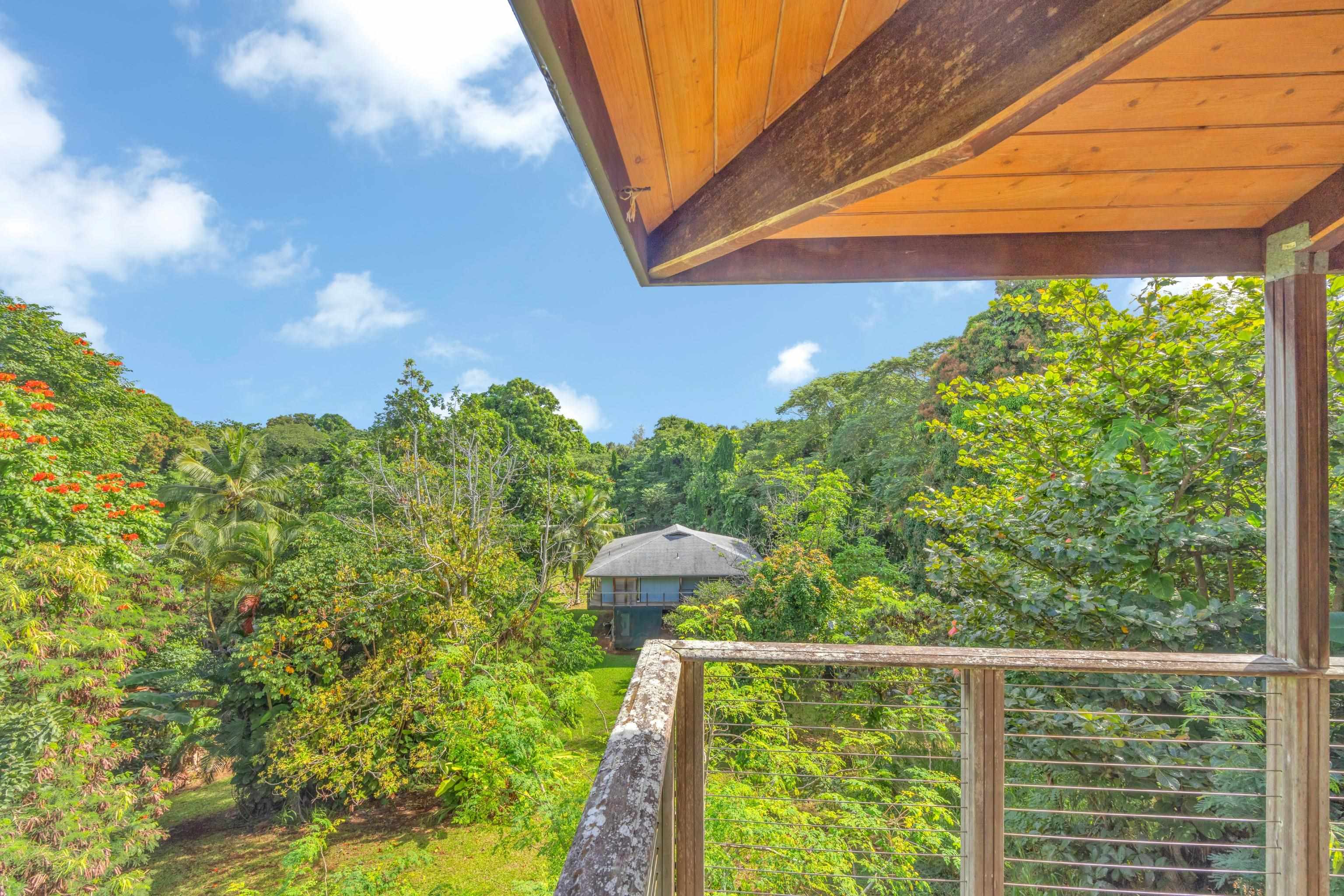 4685 Uakea Road Hana, HI 96713 - Photo 49 of 50