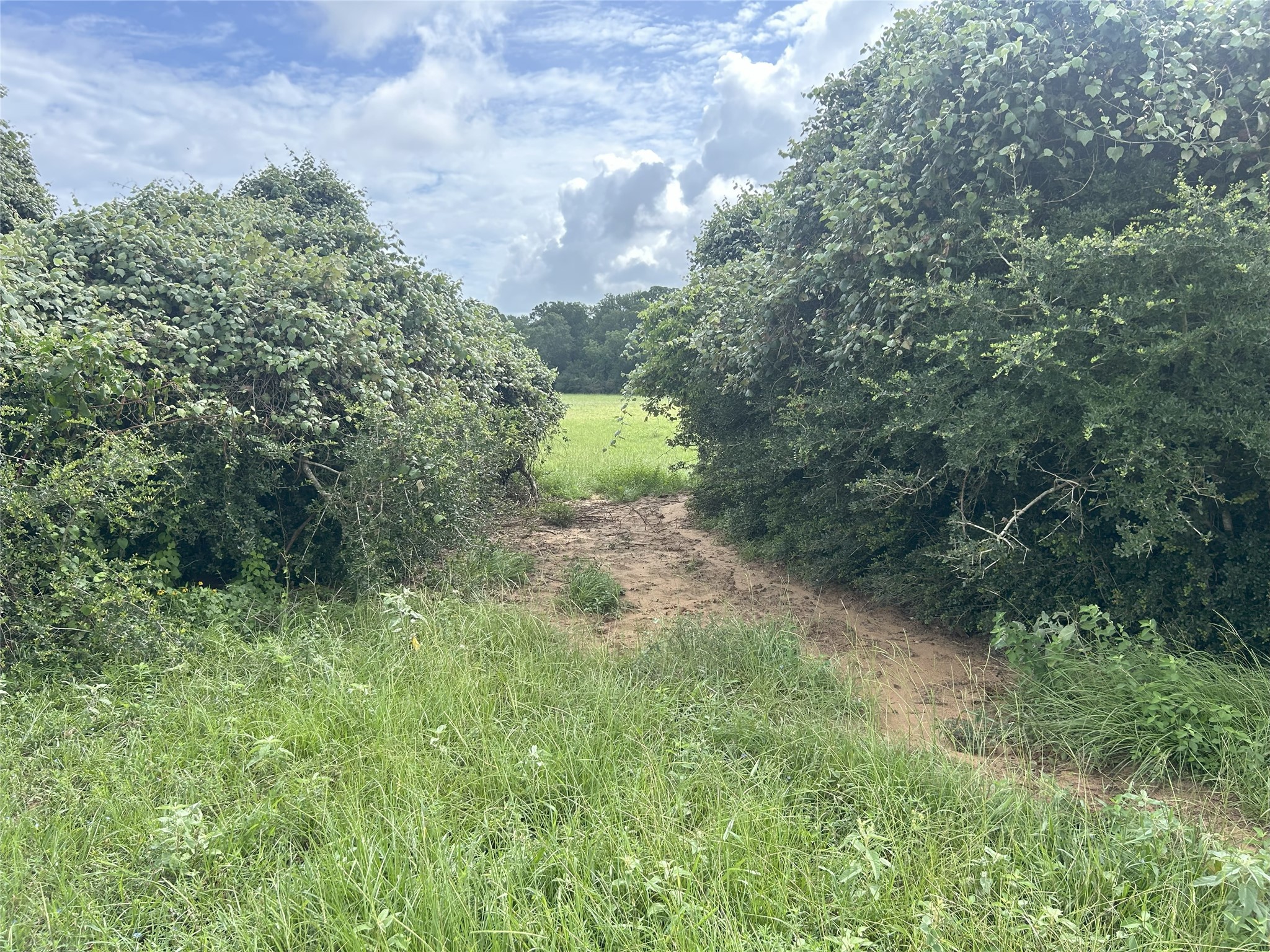 Tbd Holik Road Hempstead, TX 77445 - Photo 25 of 50