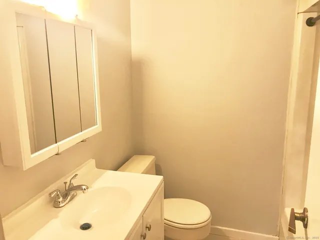 a bathroom with a sink a toilet and mirror