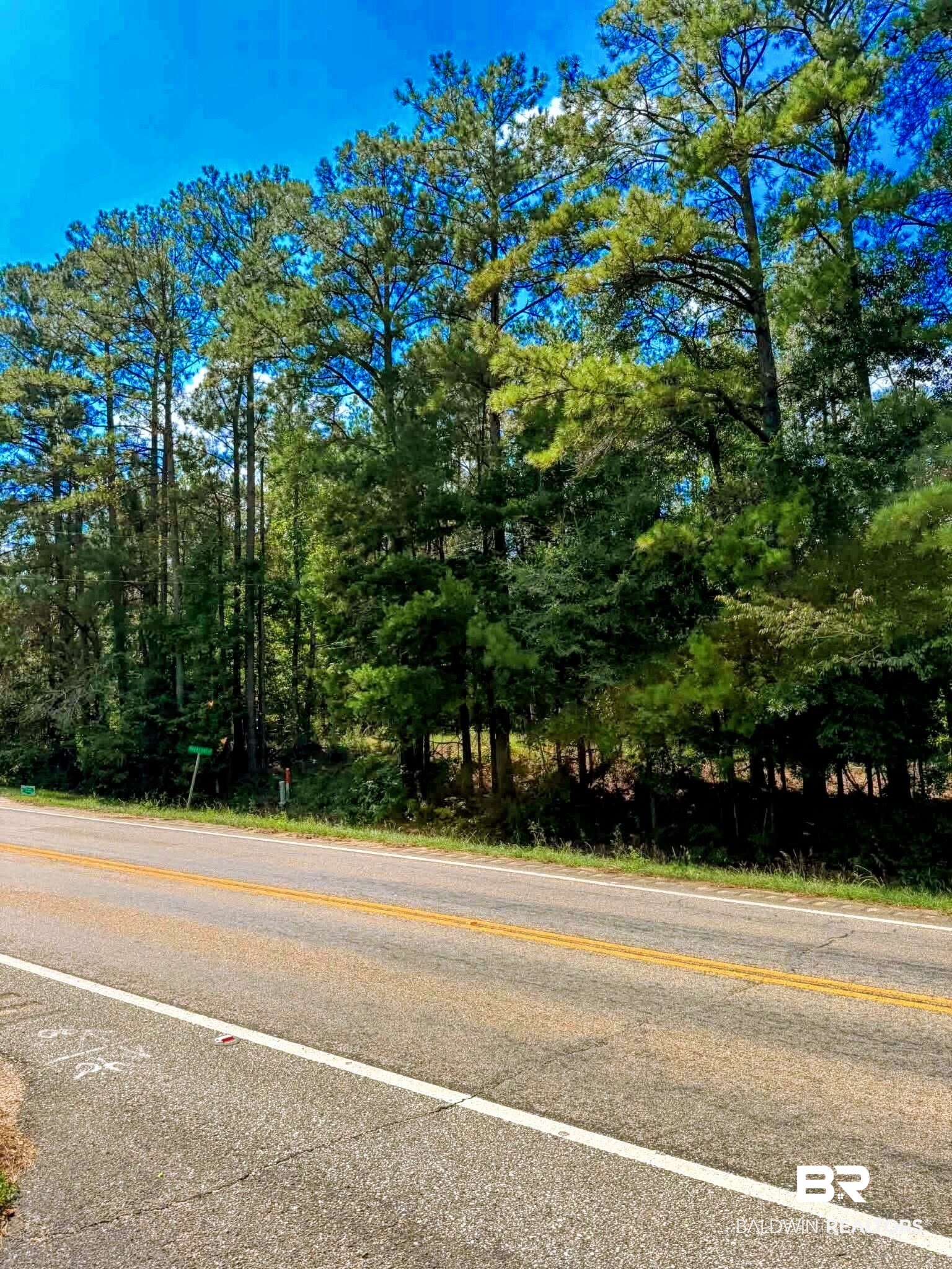 0 Pheasant Road Gilbertown, AL 36908 - Photo 29 of 31 Gallery Image 29