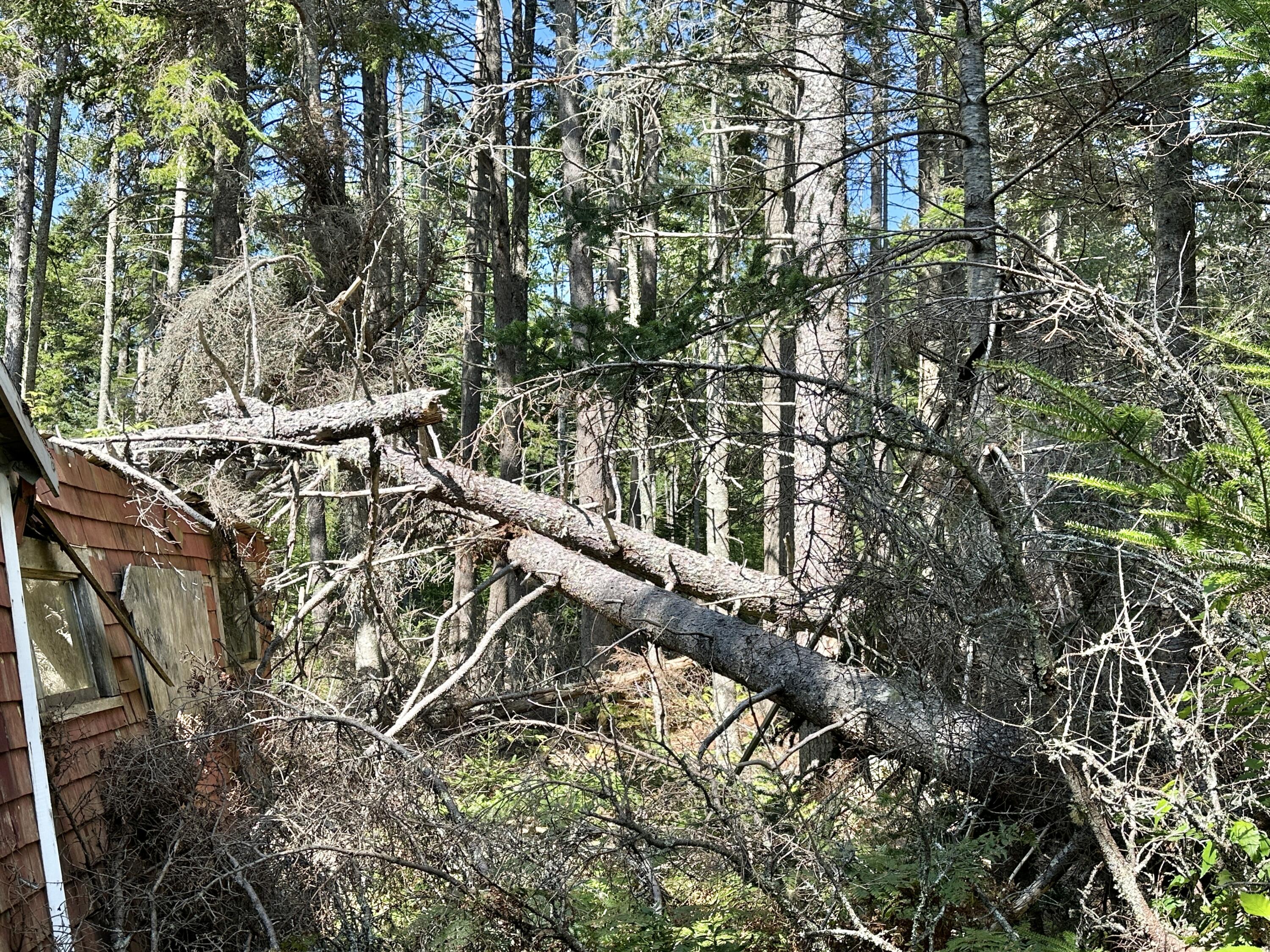 31 Fay Road Spruce Head, ME 04859 - Photo 33 of 77 IMG_1059