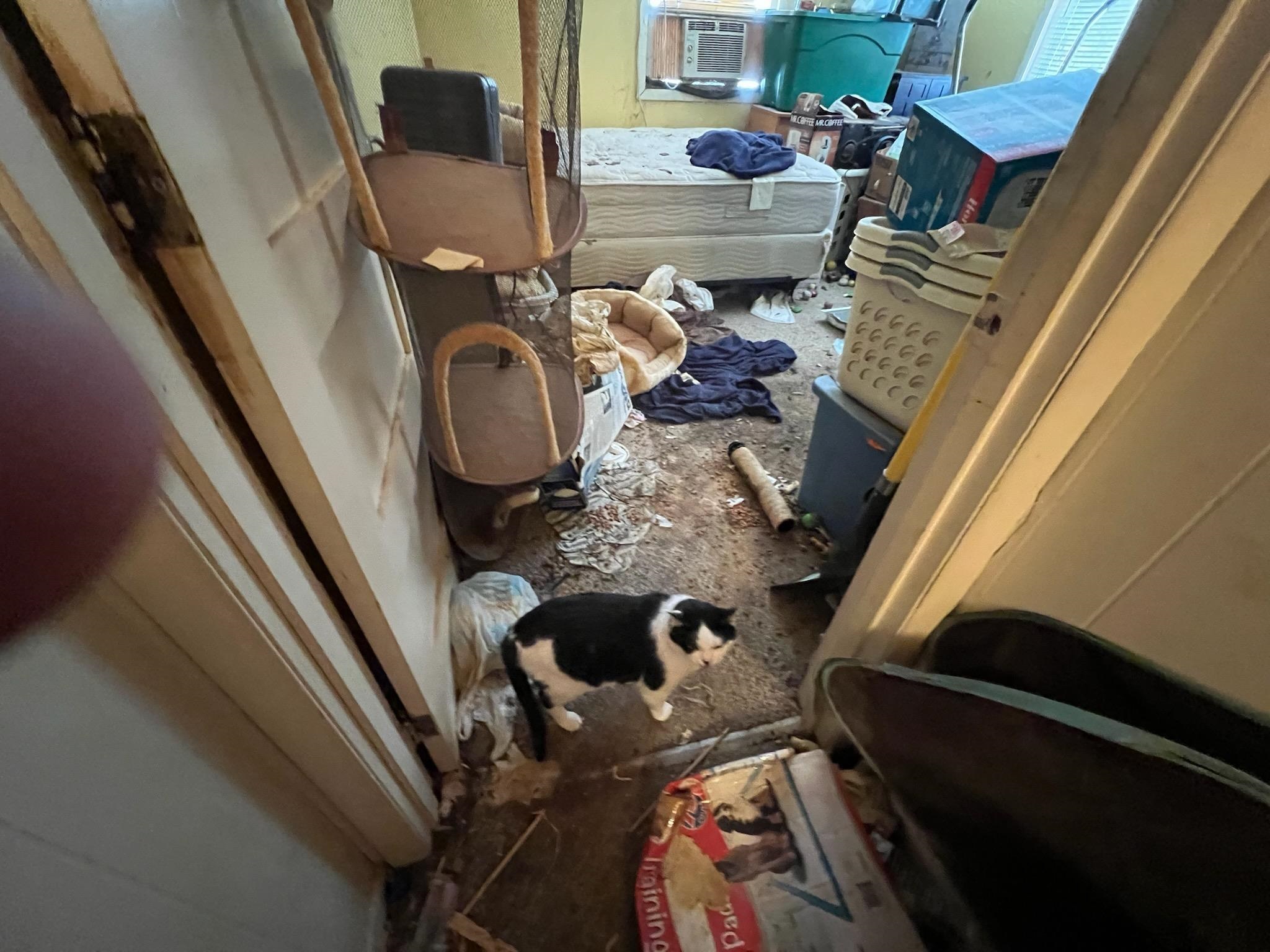 241 High Street Bradford, VT 05033 - Photo 10 of 11