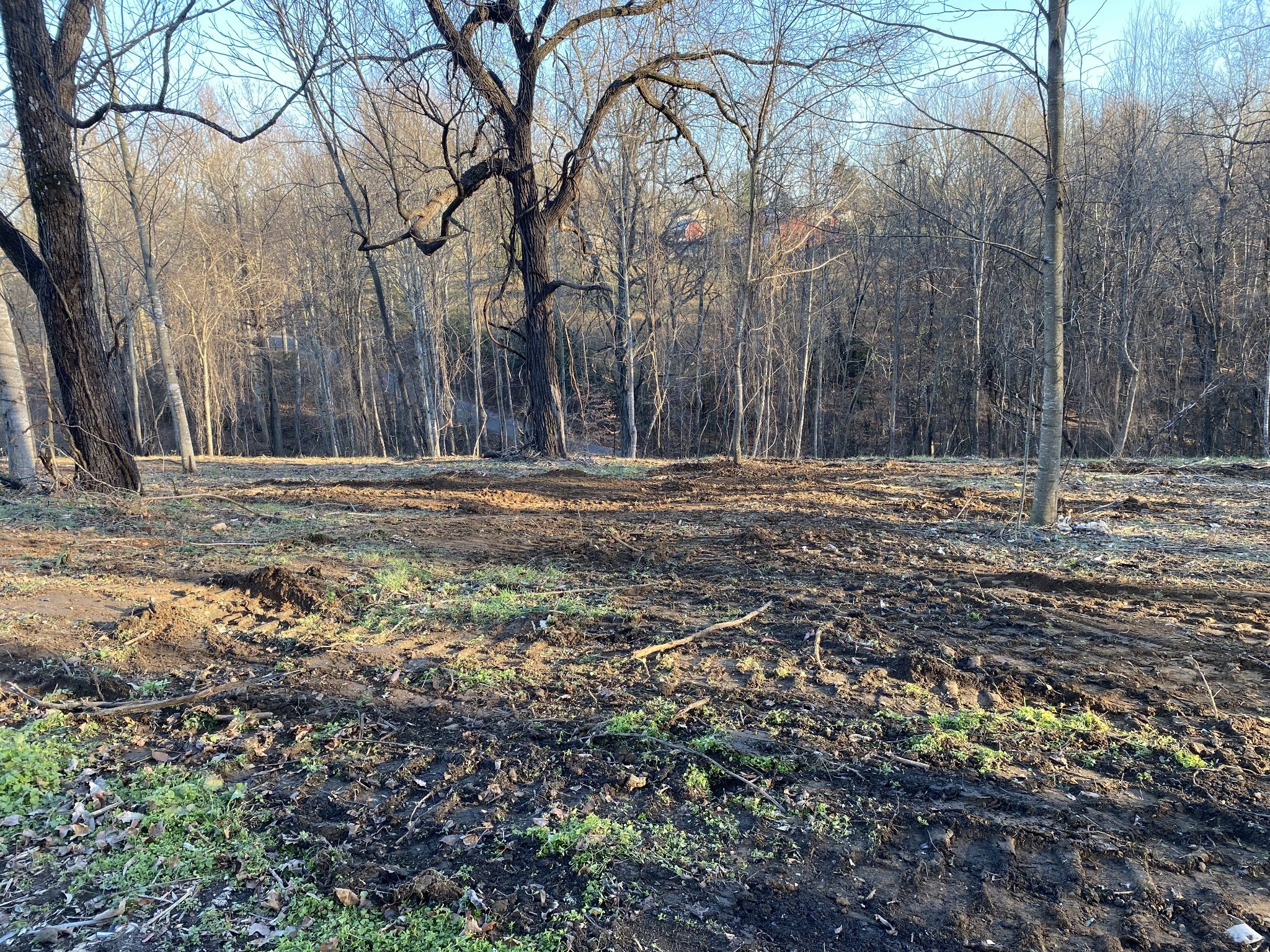 232 Union Ridge Road Wartrace, TN 37183 - Photo 2 of 7 Gallery Image 2