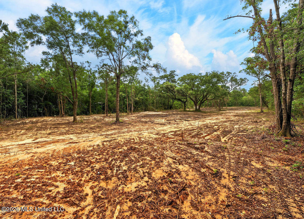 Pavolini Rd Pass Pass Christian, MS 39571 - Photo 5 of 12 PavoliniRd-4