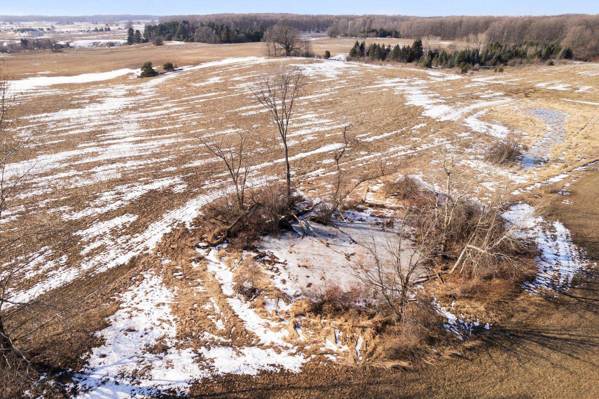0 Hamlin Road Grawn, MI 49637 - Photo 7 of 20