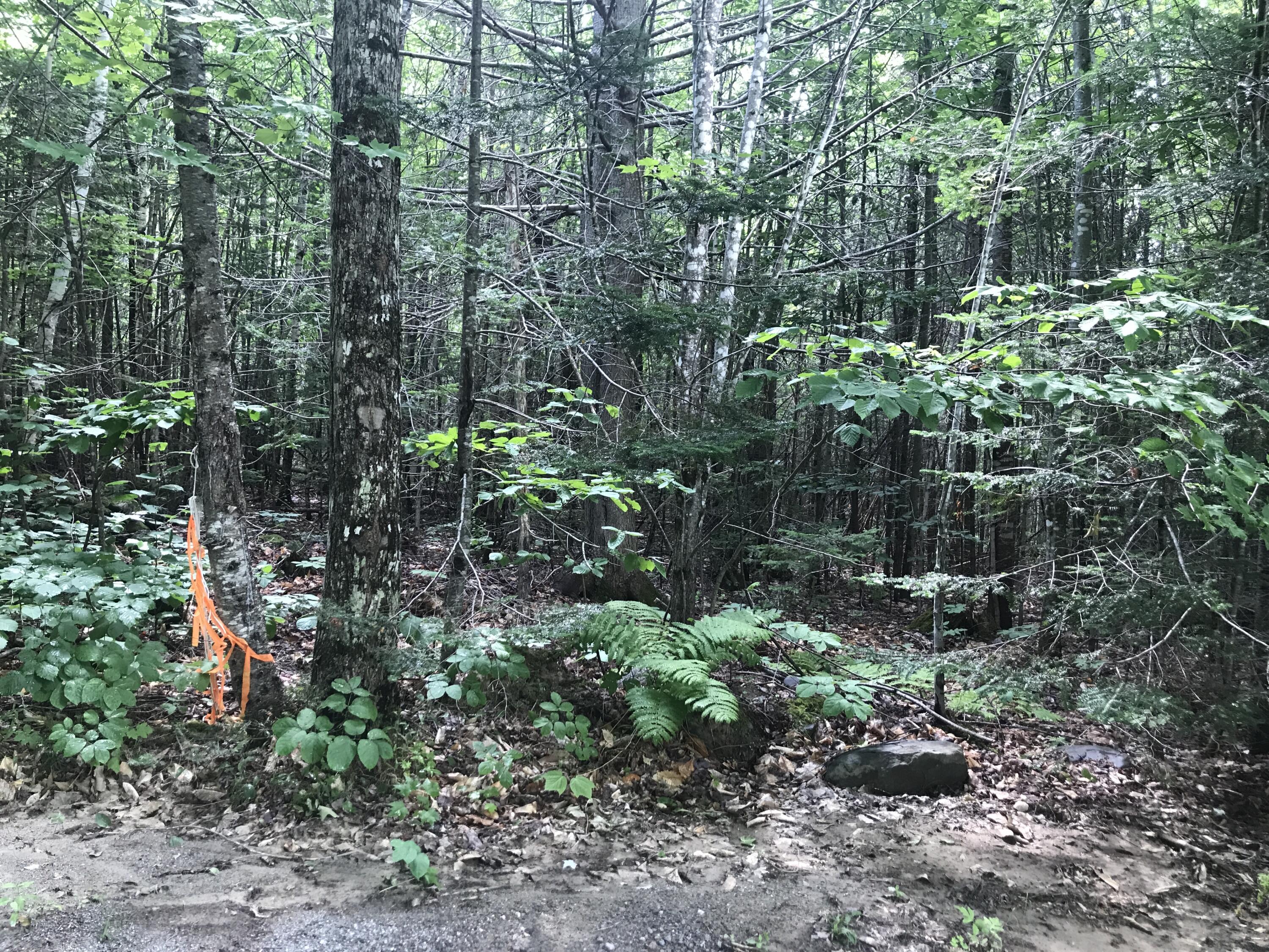 Tbd Millay Hill Road Kingfield, ME 04947 - Photo 11 of 20 40C0BEA6-7705-4493-B1B6-3698BBA03500