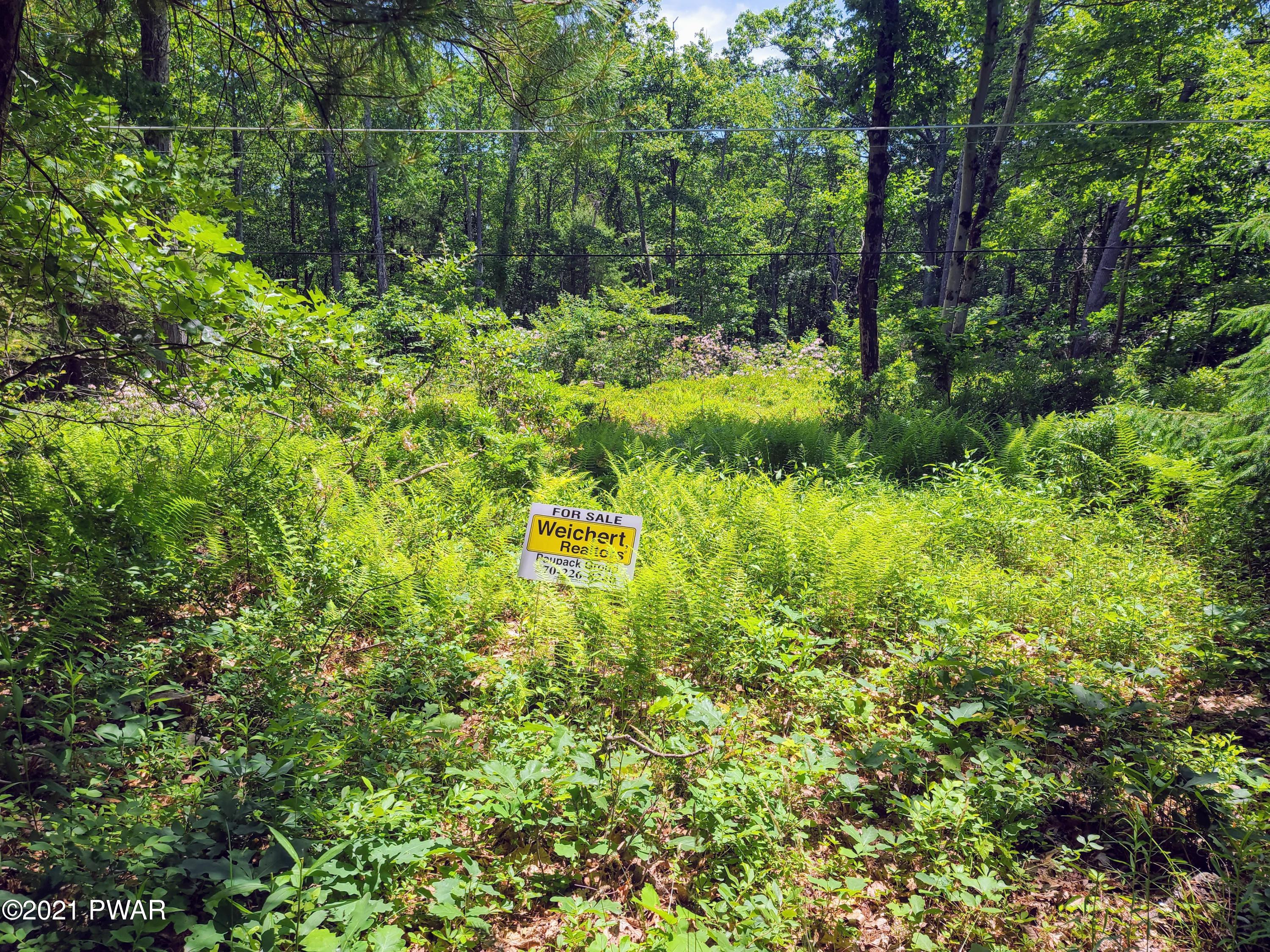 116 Red Shale Road Hawley, PA 18428 - Photo 4 of 10 20210618_123619