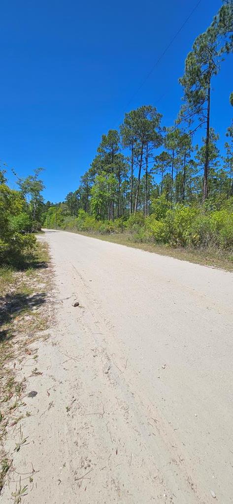 570 Clark's Landing Road Carrabelle, FL 32322 - Photo 9 of 18