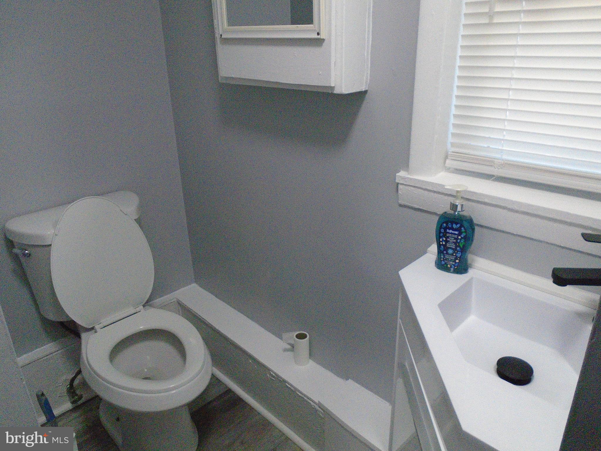 422 Wampler Road Baltimore, MD 21220 - Photo 6 of 10 a bathroom with a sink a toilet and a window