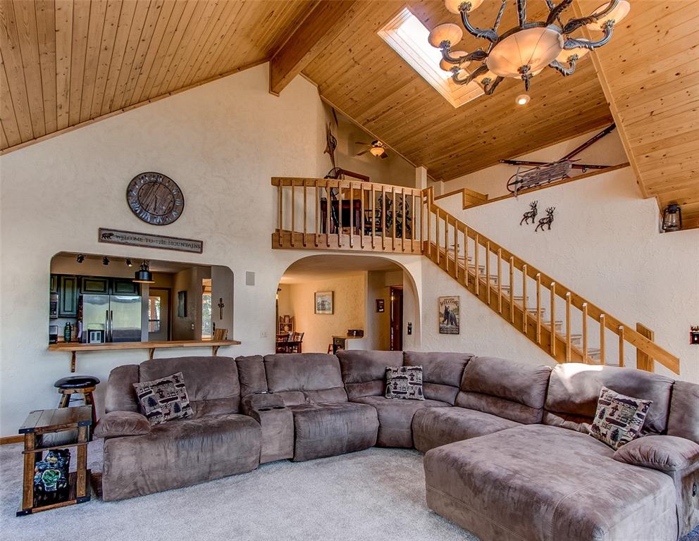100 Hitchrack Road Bailey, CO 80421 - Photo 13 of 40