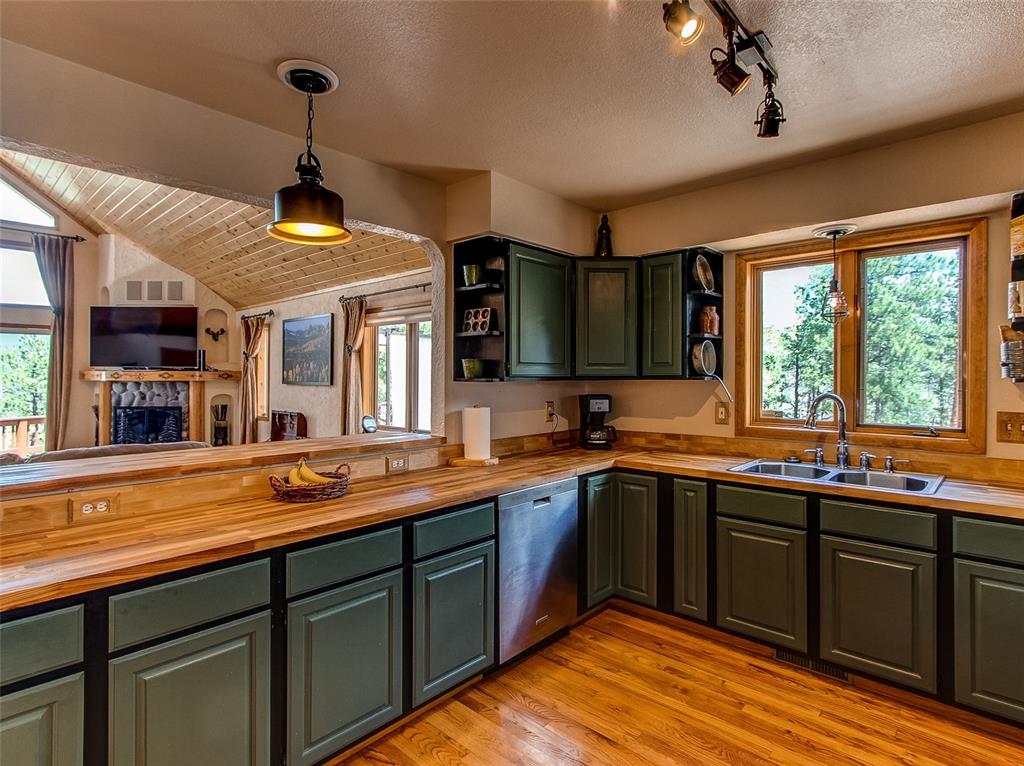 100 Hitchrack Road Bailey, CO 80421 - Photo 16 of 40