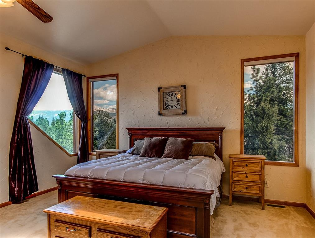100 Hitchrack Road Bailey, CO 80421 - Photo 23 of 40