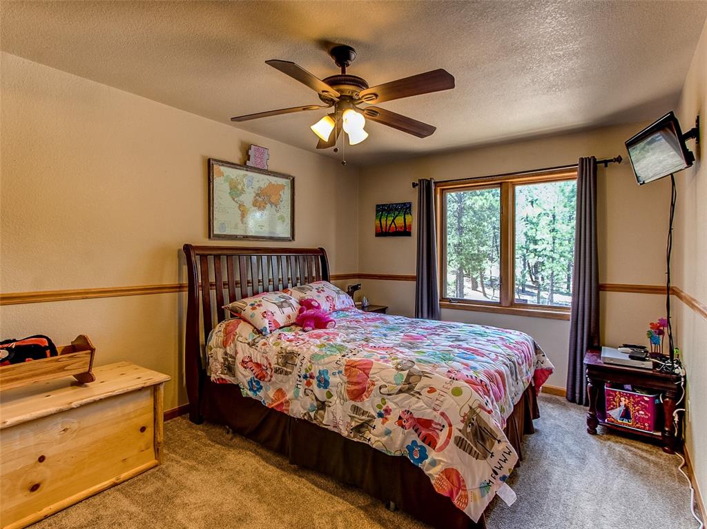 100 Hitchrack Road Bailey, CO 80421 - Photo 27 of 40