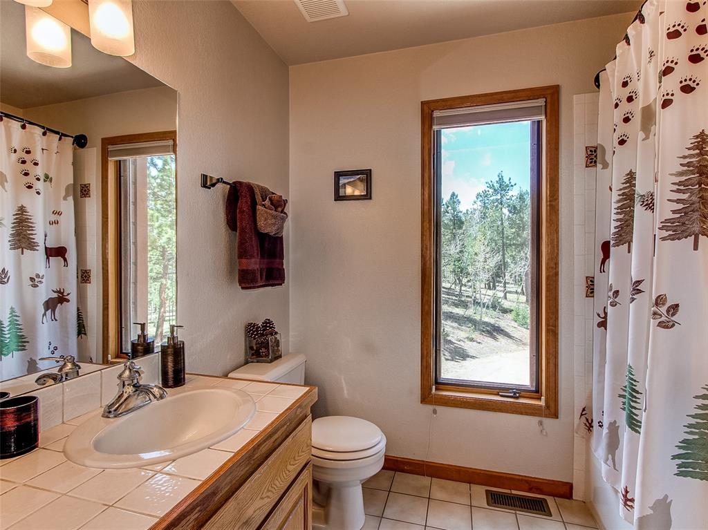 100 Hitchrack Road Bailey, CO 80421 - Photo 31 of 40