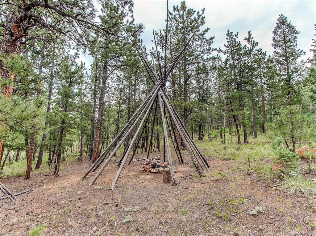 100 Hitchrack Road Bailey, CO 80421 - Photo 39 of 40