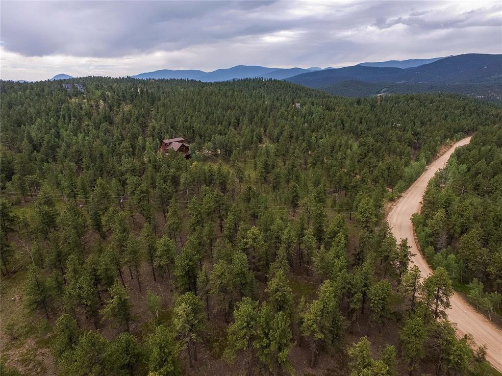 100 Hitchrack Road Bailey, CO 80421 - Photo 7 of 40