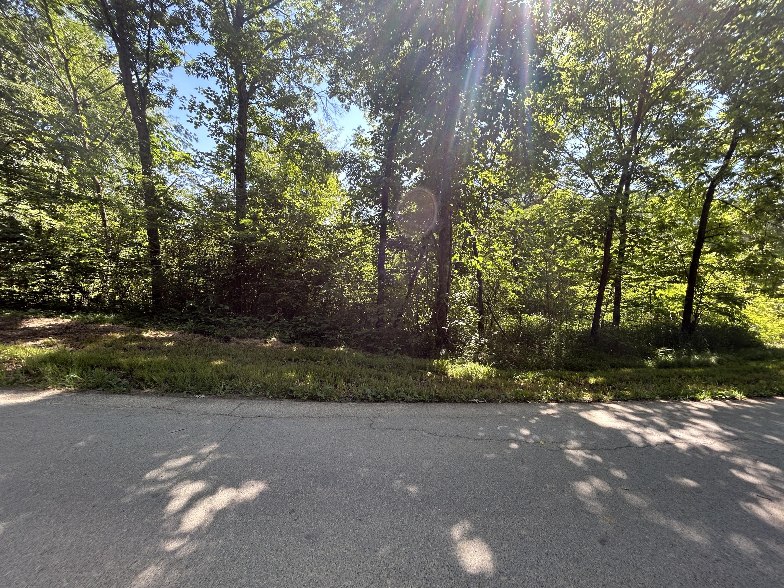 0 Dr Johnson Road Crandall, GA 30711 - Photo 3 of 5 IMG_2050