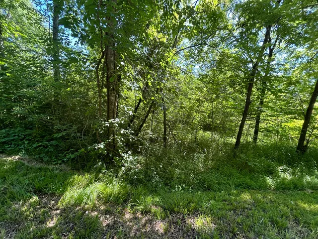 $29,500 | 0 Dr Johnson Road, Crandall, GA 30711