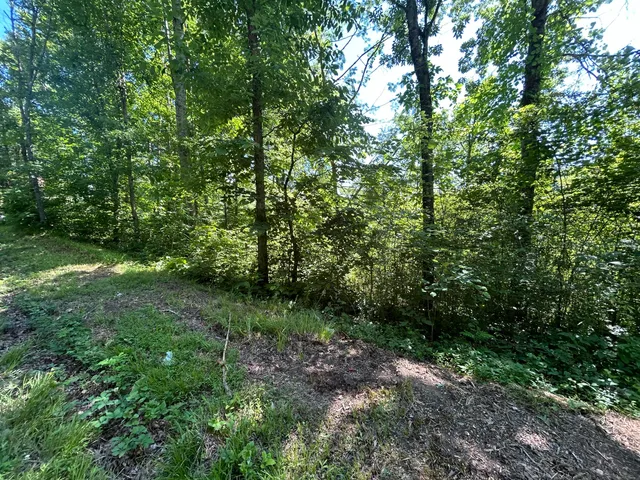 $29,500 | 0 Dr Johnson Road, Crandall, GA 30711