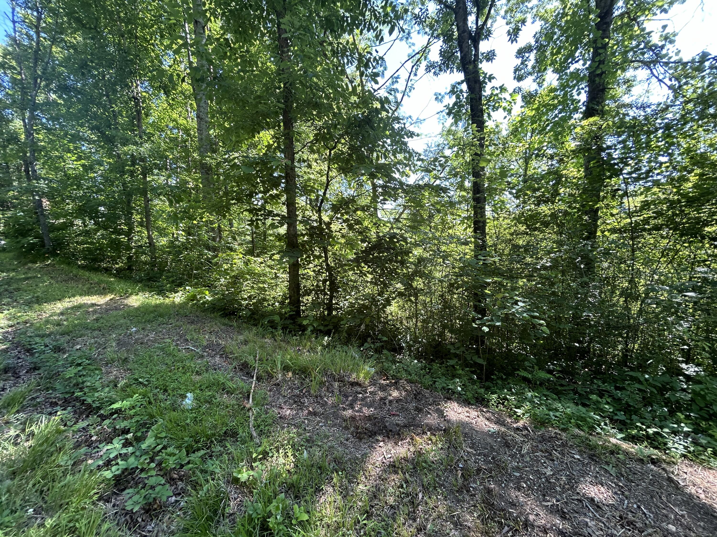 0 Dr Johnson Road Crandall, GA 30711 - Photo 5 of 5 IMG_2052