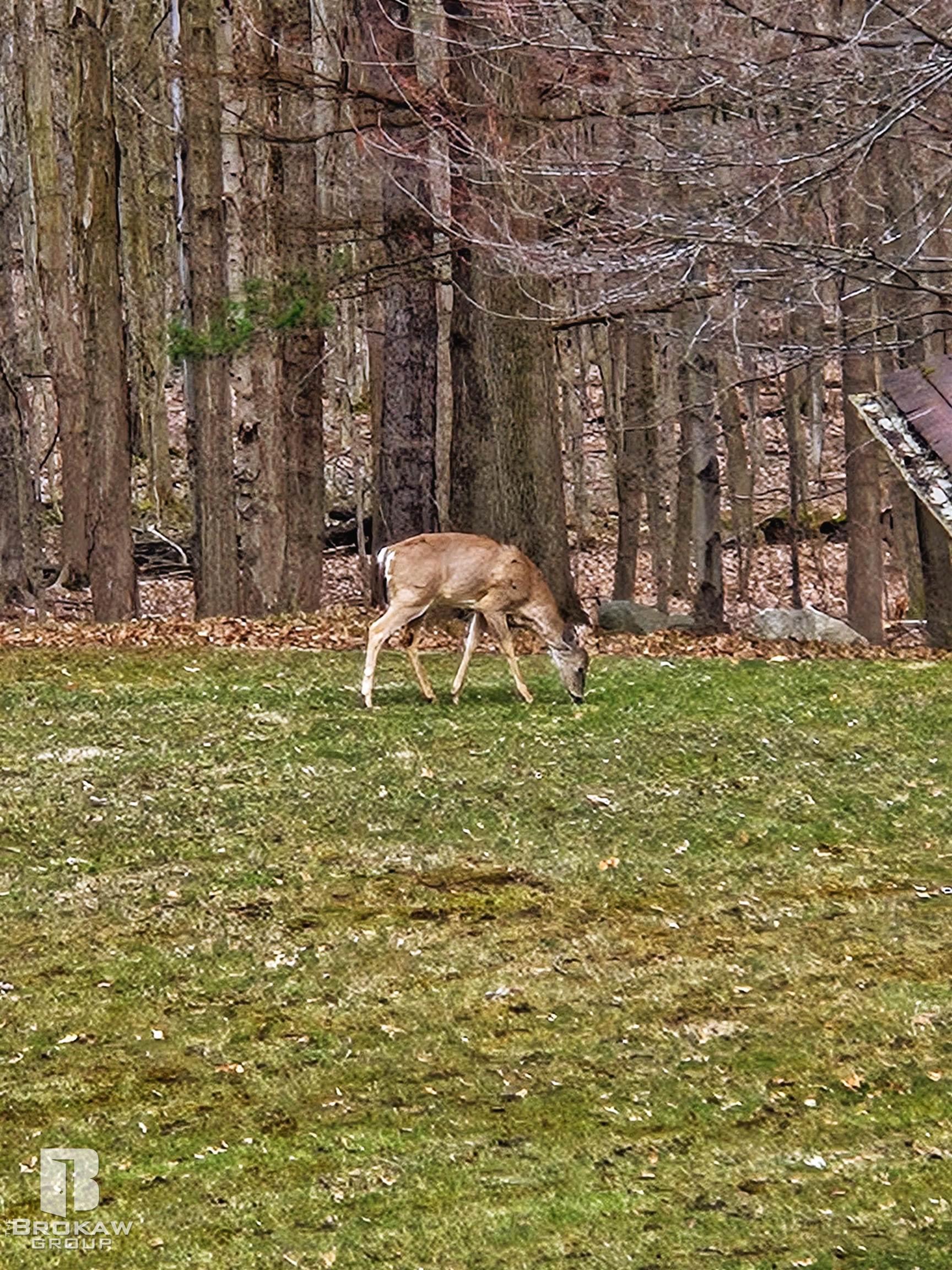 3100 West Brocker Road Metamora, MI 48455 - Photo 51 of 60 50137338-f1795da2-dd42-4017-9313-22b883b48c96.JPG