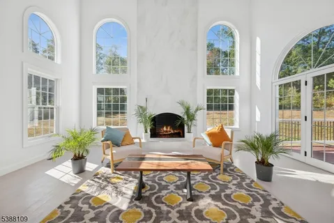 a living room with furniture fireplace and potted plant
