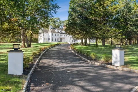 a view of a park with a large trees