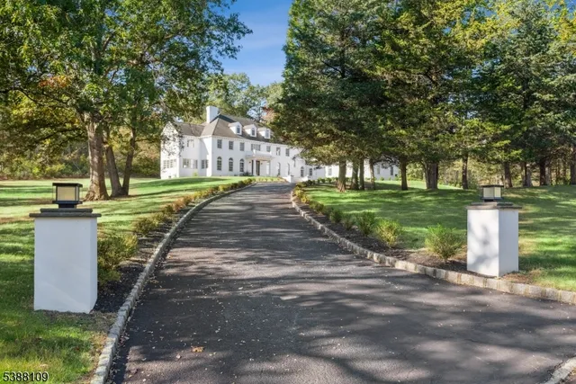 a view of a park with a large trees